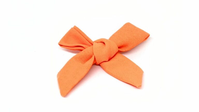 Broche ou barrette Projet "SNCF"