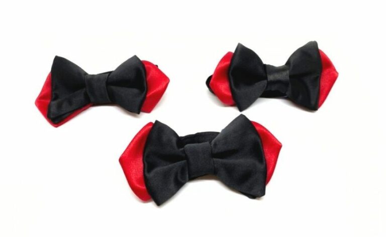 Nœud papillon personnalisé aux couleurs de la marque "Projet Xefi"